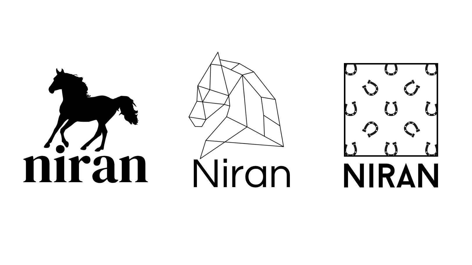 Niran brand development — three logo directions